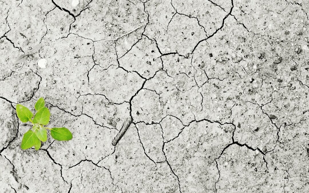 Nie war Substanz in der Kommunikation so wichtig