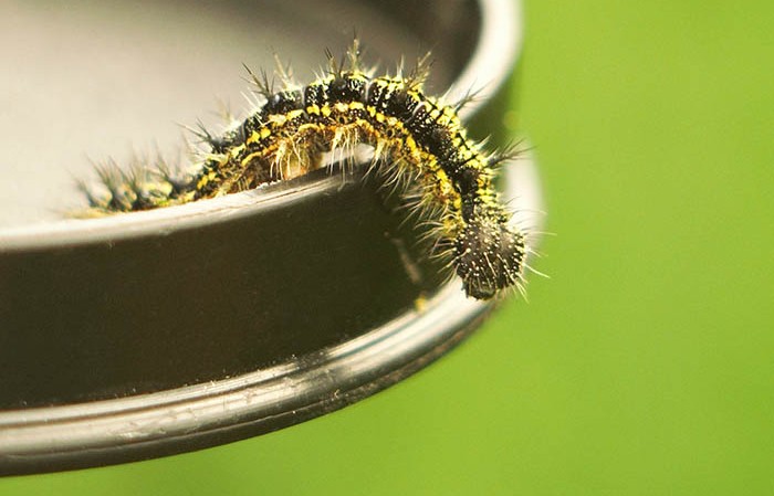 Transformationsbarrieren überwinden