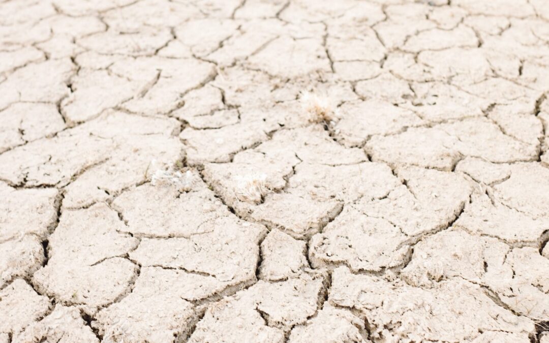 Ist die Nachhaltigkeitskommunikation am Ende?