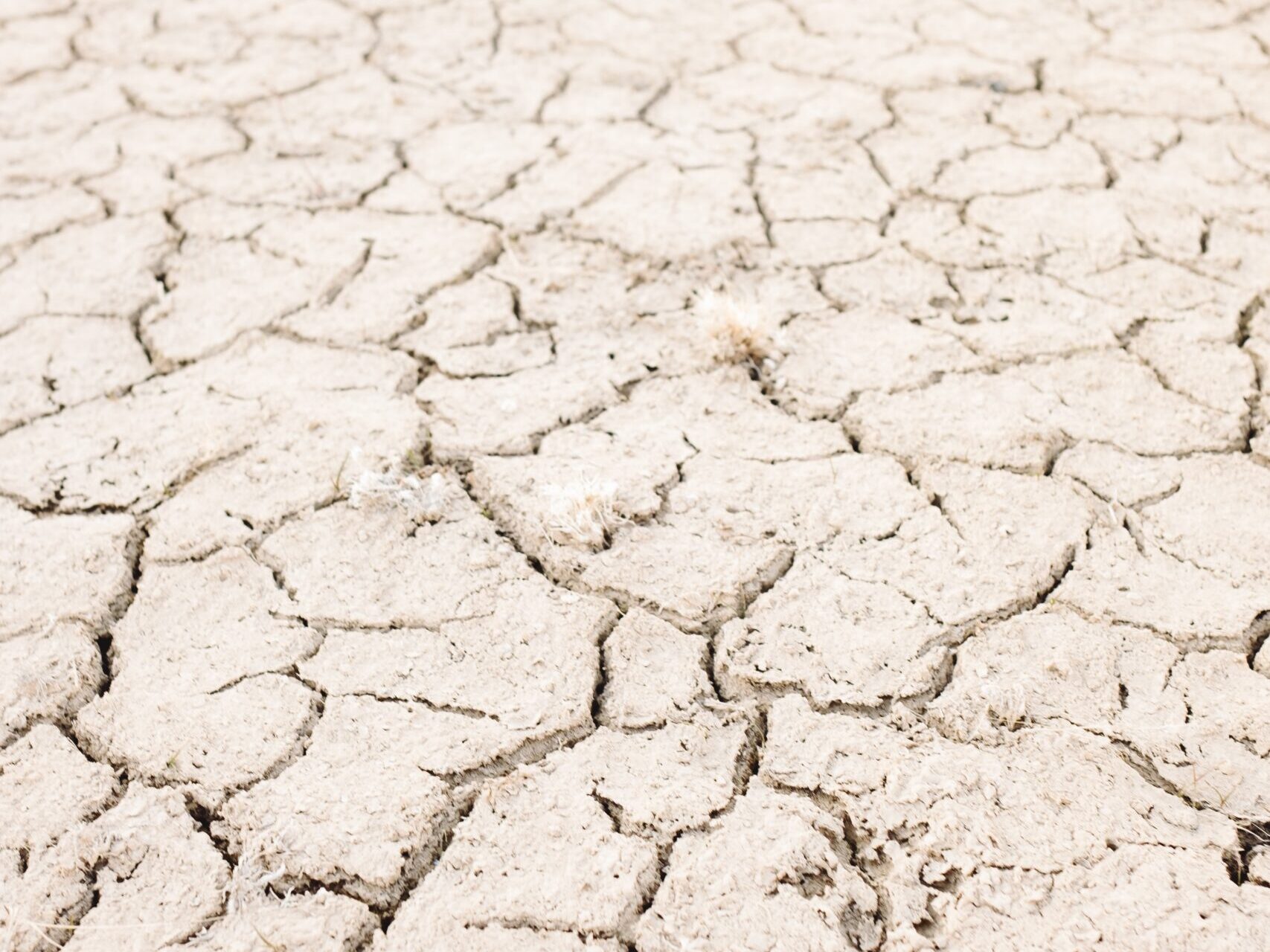 wesley-tingey+unsplash_Foto_2022